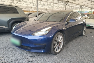 特斯拉 Model 3 2020款 改款 长续航后轮驱动版