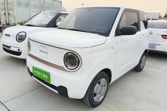 吉利银河 2024款 熊猫mini 200km 耐力熊
