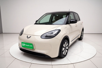 五菱汽车 五菱缤果 2023款 333km 悦享款