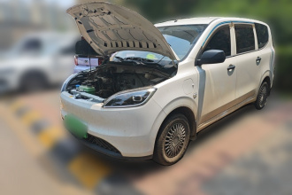 五菱汽车 五菱宏光新能源 2024款 纯电版 300KM 标准型