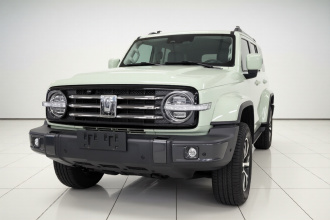 坦克300 2021款 城市版 2.0T 很有型