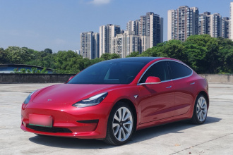 特斯拉 Model 3 2020款 改款 标准续航后驱升级版