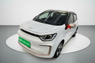 江淮钇为 钇为花仙子 2024款 挚爱版 301km Lite