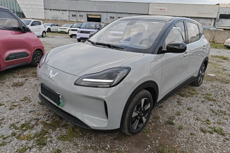 五菱汽车 五菱缤果PLUS 2024款 510km 五座版