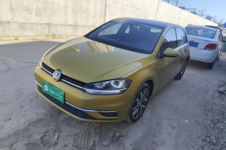 大众 高尔夫 2018款  230TSI 自动豪华型