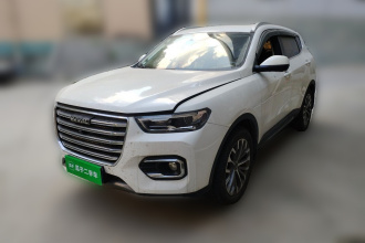 哈弗H6 2020款 1.5GDIT 自动铂金冠军版