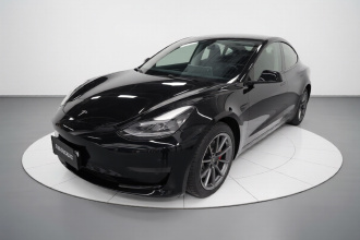 特斯拉 Model 3 2021款 标准续航后驱升级版 3D6