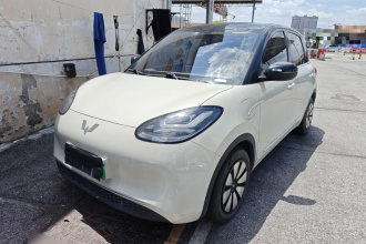 五菱汽车 五菱缤果 2023款 410km 灵犀尊享款