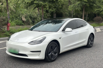 特斯拉 Model 3 2020款 改款 长续航后轮驱动版