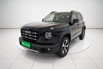 哈弗大狗 2022款 1.5T DCT两驱拉布拉多版