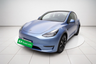 特斯拉 Model Y 2021款 标准续航后驱版