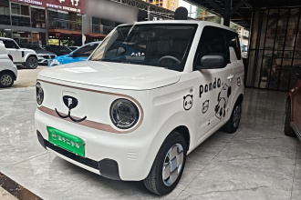 吉利银河 2023款 熊猫mini 200km 耐力熊