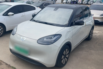 五菱汽车 五菱缤果 2023款 333km 悦享款