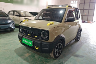 吉利银河 2024款 200km 熊猫骑士