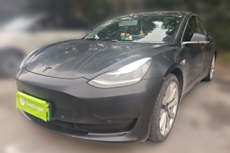 特斯拉 Model 3 2020款 改款 标准续航后驱升级版