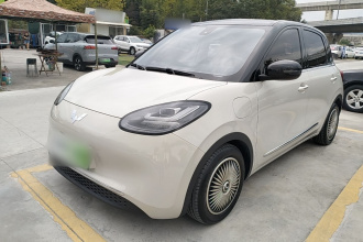 五菱汽车 五菱缤果 2023款 333km 灵犀互联款