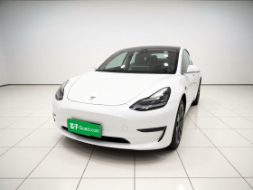 特斯拉 Model 3(进口) 2019款 标准续航后驱升级版(52度)