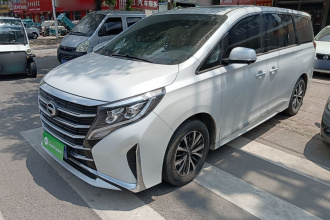 广汽传祺 传祺M8 2024款 领秀系列 390T 豪华版