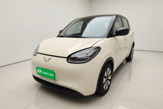 五菱汽车 五菱缤果 2023款 203km 舒享款