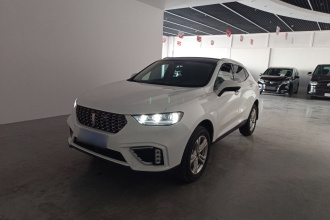 魏牌 VV5 2020款 1.5T 两驱颜先锋