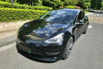 特斯拉 Model 3(进口) 2019款 长续航全轮驱动版