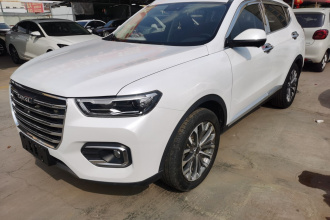 哈弗H6 2020款 1.5GDIT 自动铂金冠军版
