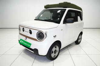 吉利银河 2024款 熊猫mini 200km 龙腾PRO版