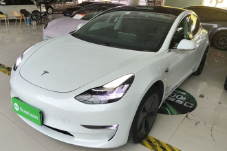 特斯拉 Model 3(进口) 2019款 长续航全轮驱动版