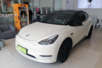 特斯拉 Model Y 2021款 标准续航后驱版