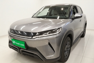比亚迪 元UP 2024款  401KM 活力版