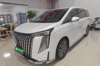 广汽传祺 传祺M8 2024款 大师系列 400T 尊贵版