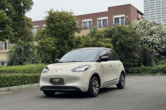 五菱汽车 五菱缤果 2025款 333km 悦享款