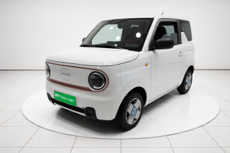 吉利银河 2023款 熊猫mini 200km 耐力熊