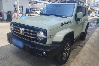 坦克300 2024款 2.0T 穿越者