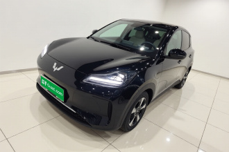 五菱汽车 五菱缤果PLUS 2024款 401km 旗舰版 四座版