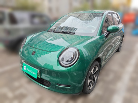 江淮钇为 钇为3 2023款 505km 冠军版