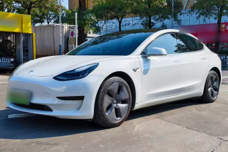 特斯拉 Model 3(进口) 2019款 标准续航后驱升级版(60度)