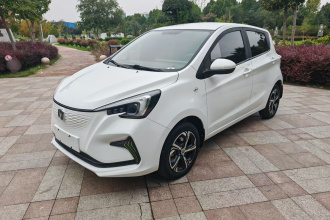 长安欧尚 奔奔E-Star 2020款 心动版 三元锂