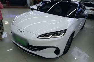 比亚迪 海豹06新能源 2024款 DM-i 80KM豪华型