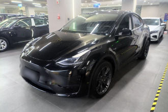 特斯拉 Model Y 2024款 后轮驱动版
