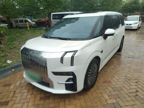 极氪009 2022款 WE版