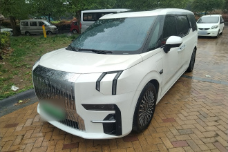 极氪009 2022款 WE版