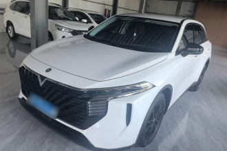 启辰大V 2024款 260T 新星版 Pro