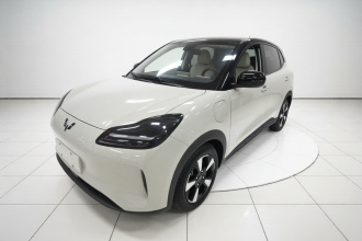 五菱汽车 五菱缤果PLUS 2024款 401km 五座版