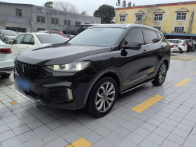 魏牌 VV6 2018款 2.0T 两驱超豪型 国V