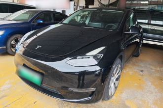 特斯拉 Model Y 2021款 标准续航后驱版