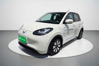 五菱汽车 五菱缤果 2023款 203km 舒享款