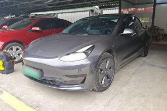 特斯拉 Model 3 2021款 标准续航后驱升级版
