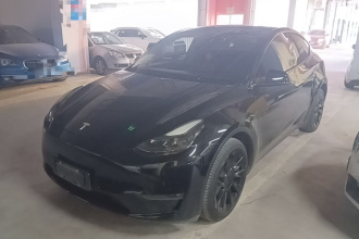 特斯拉 Model Y 2021款 长续航全轮驱动版 3D7