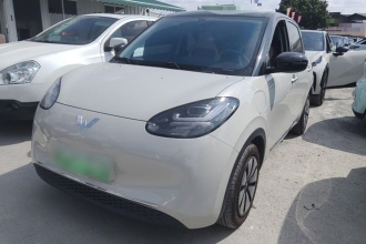 五菱汽车 五菱缤果 2024款 333km 灵犀互联款